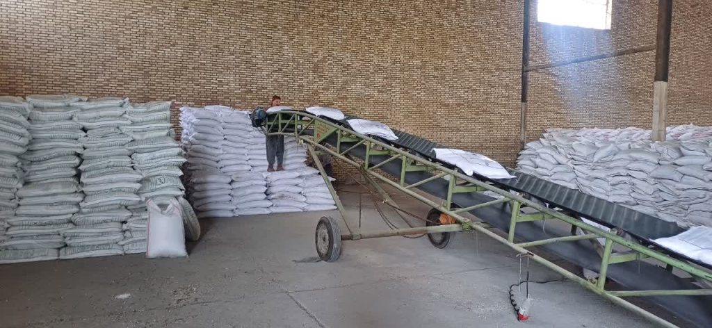 توزیع مقدار 3420 تن کود اوره برای کشاورزان شهرستان میامی در شش ماهه اول سال جاری 4 IMG 20251014 142712 950